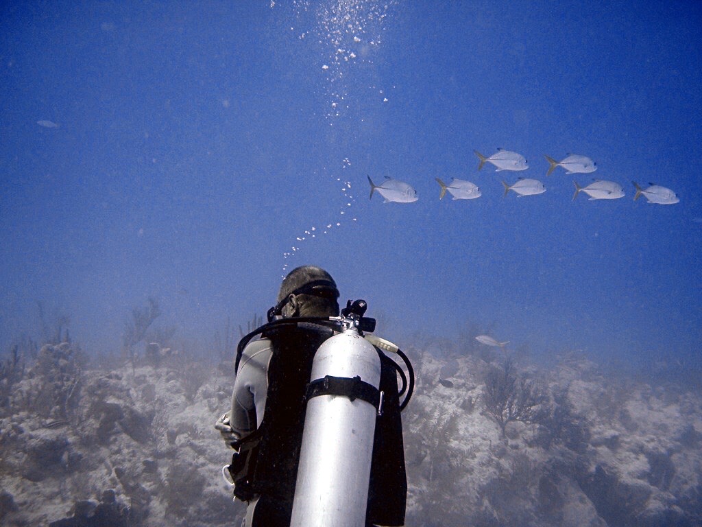 Random SCUBA Photo